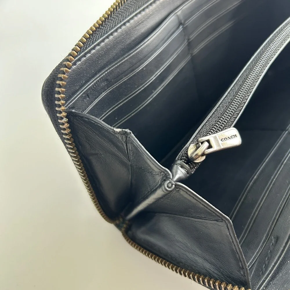 Coach rare iridescent